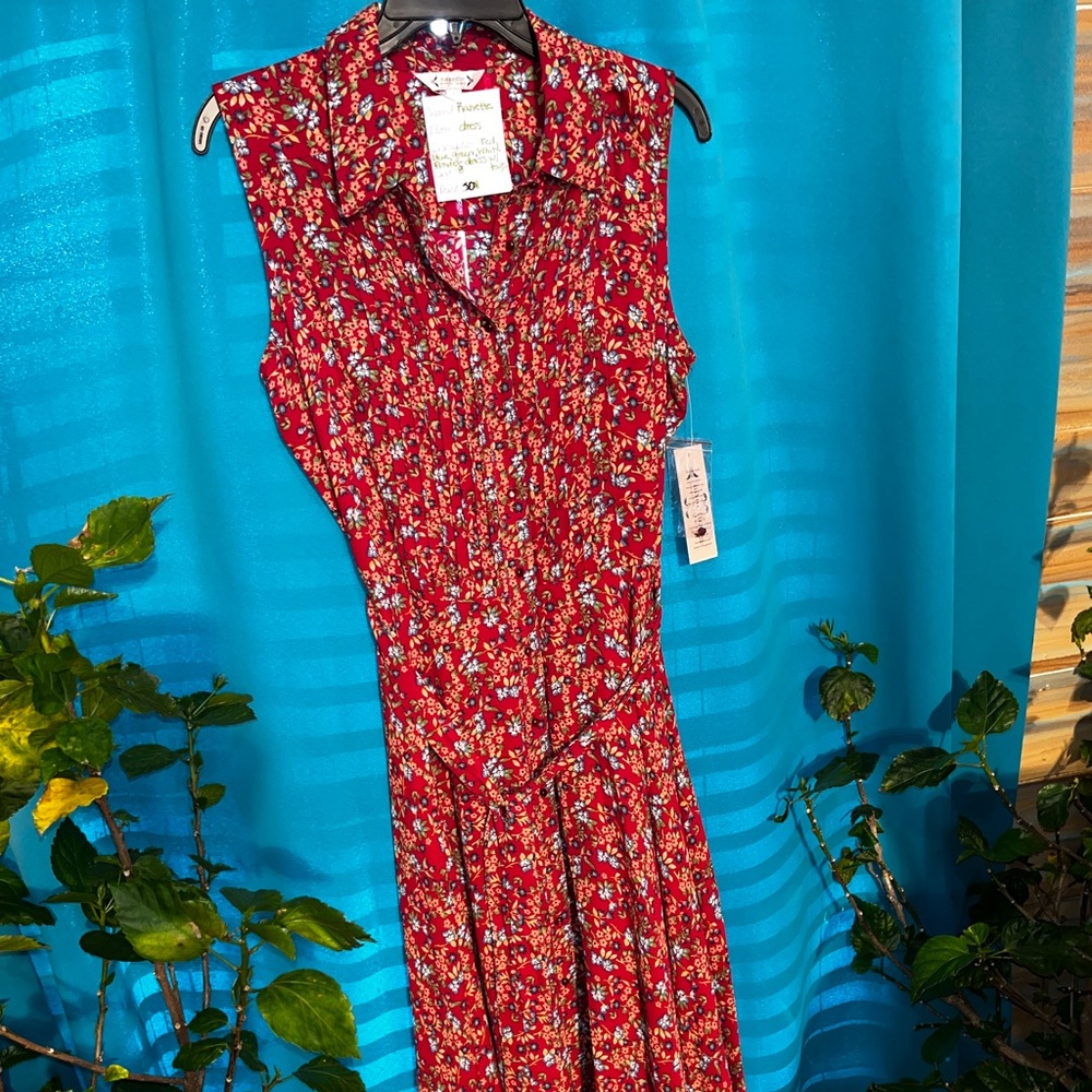 Nanette women’s dress